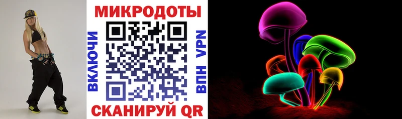 Галлюциногенные грибы Psilocybe  Карачаевск 